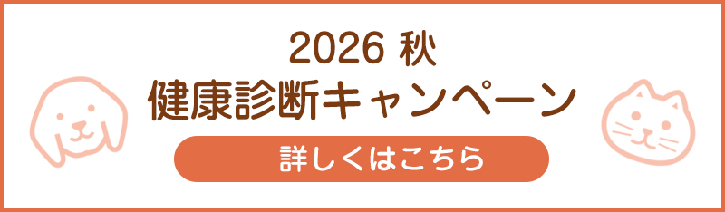 荒川区東日暮里・ひろ動物病院
